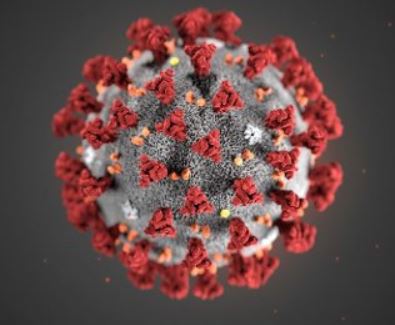 Vedr. testing for Covid-19 / HHT-Osler