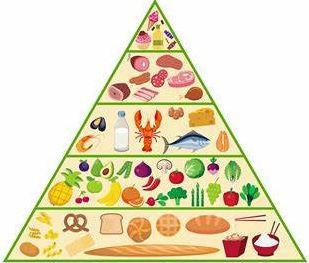 Kompendium om kosthold etter HHT-Osler kurs, Bodø