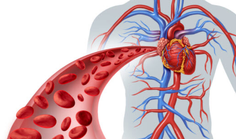 Nettmøte m/hematolog - Opptak av webinar